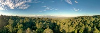 AUS - Bunya Mountains NP d0031